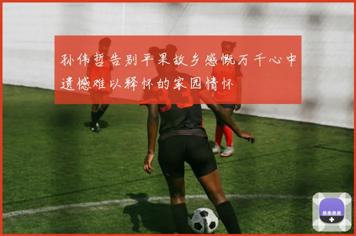 孙伟哲告别平果故乡感慨万千心中遗憾难以释怀的家园情怀
