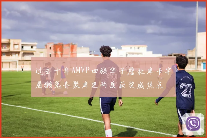 过去十年AMVP回顾华子詹杜库卡字眉獭兔齐聚库里两度获奖成焦点